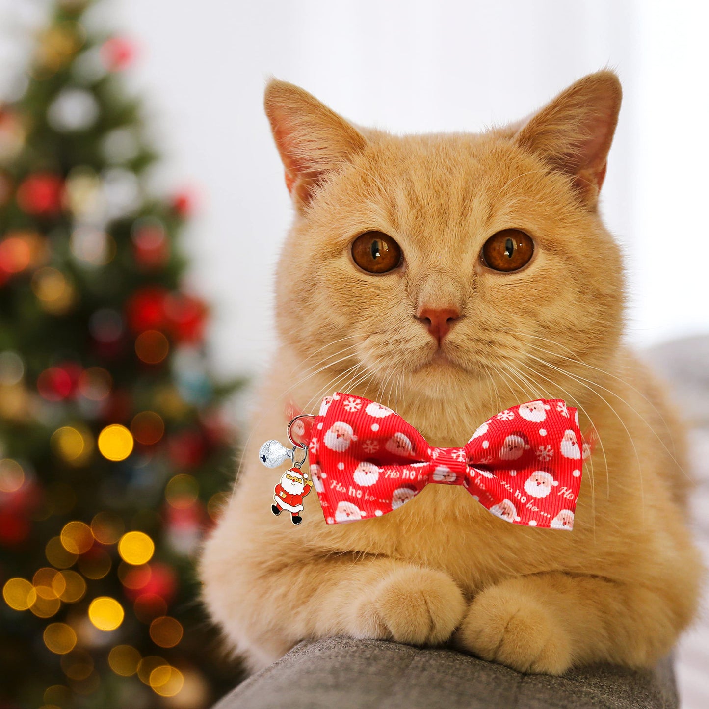 3 Pack Holiday Cat Collar with Bow and Bell, Halloween Thanksgiving Christmas Cat Collar for Boys and Girls Kitties Kittens