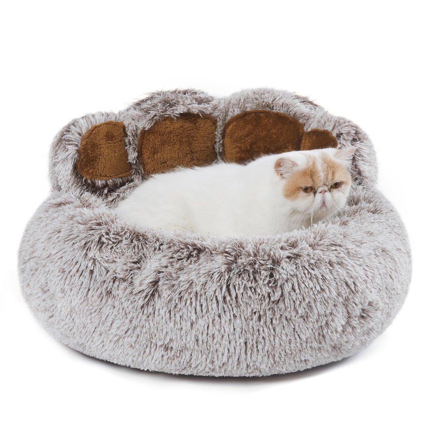 Jiupety Dog Bed with Standing Bear Paws | Cozy Comfy Dog Donut Bed | Gray M Size 22'X22' X6'