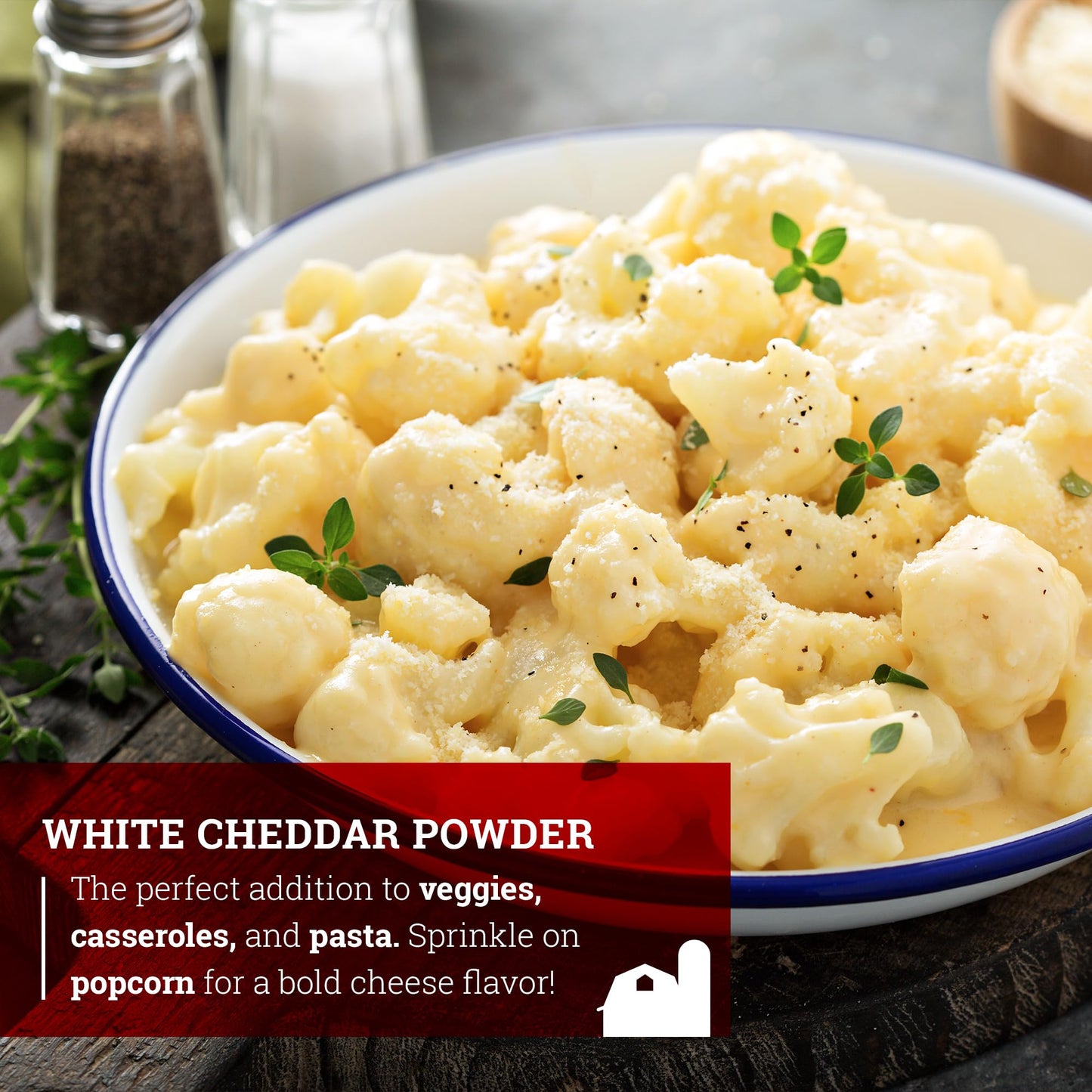 Hoosier Hill Farm White Cheddar Cheese Powder, 1LB (Pack of 1)