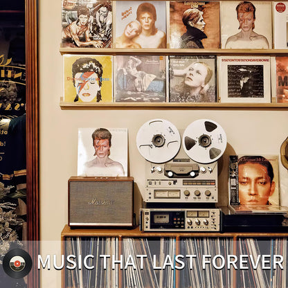 20 Clear Vinyl Record Sleeves, 12" LP Outer Record Sleeves, 12.75" x 12.75", 3.2 Mil Protective Album Covers for Single & Double Vinyl Records