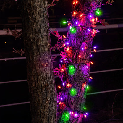 Dazzle Bright 200 LED Halloween Mini String Lights, 65 FT Connectable Waterproof 8 Modes Fairy Lights for Indoor Outdoor Patio Garden Holiday Party Decorations (Purple & Orange & Green)