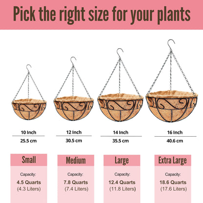 LaLaGreen Hanging Planter for Outdoor Plants (12 Inch, 2 Pack) Hanging Baskets with Coco Liner, Black Metal Wire Flower Basket Pots with Hook Hanger Balcony Porch Farmhouse Country Style Garden Decor