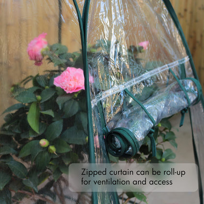 Gardzen 2-Pack 27"x27"x31" Pop up Grow Greenhouse Small Greenhouse, Portable Plant Flowers Mini Green House Cover for Outdoor & Indoor Use