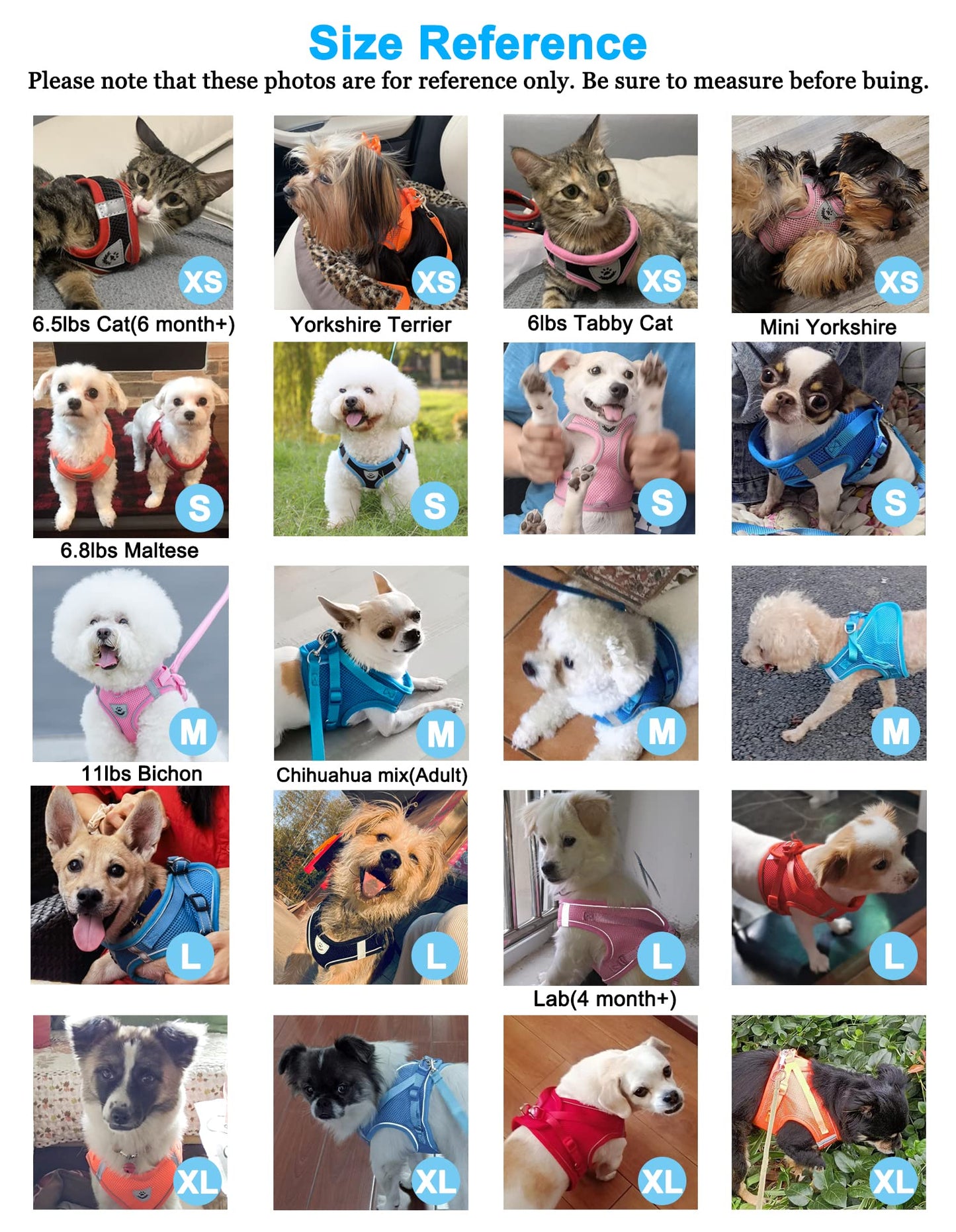 Dog Harness and Leash Set for Walking, Escape Proof Vest Harness with Soft Mesh, Adjustable Strap, Reflective Strips for Kitten Cats and Puppy Dogs