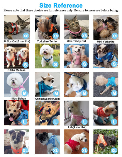 Dog Harness and Leash Set for Walking, Escape Proof Vest Harness with Soft Mesh, Adjustable Strap, Reflective Strips for Kitten Cats and Puppy Dogs