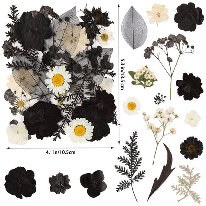 78 Pcs Black and White Dried Pressed Flowers with Tweezer, Halloween Themed Real Dried Flowers Leaves for DIY Crafts Resin Molds, Dried Flowers for Autumn Halloween Decorations