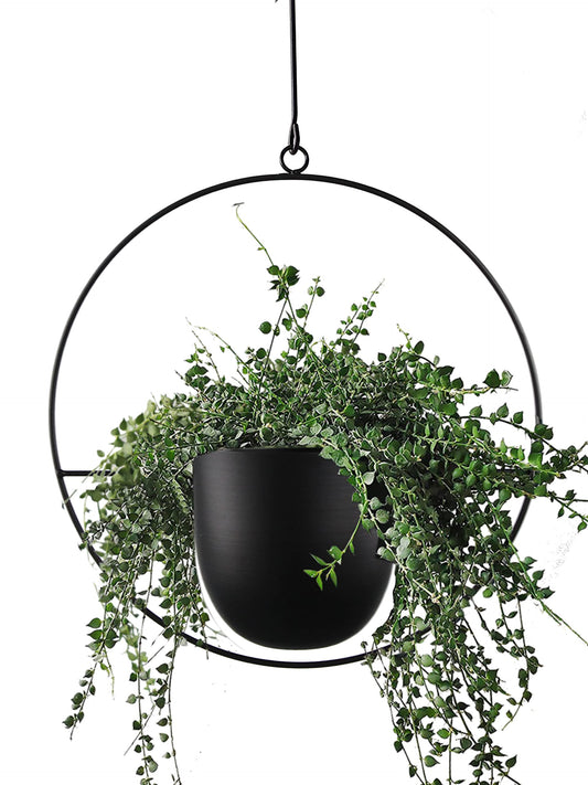 ABETREE Hanging Planter for Indoor Outdoor Plants Metal Mid Century Minimalist Wall Ceiling Plant Hanger Hanging Flower Pot Basket Holder for Home Office Décor, Black