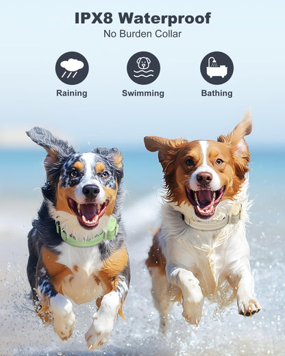 Jugbow Dog Shock Collar 2 Dogs (5-120Lbs) - 4200FT Dog Training Collar with Remote for Large Medium Small Dogs, Rechargeable Waterproof IPX8 E Collars with Beep (1-3) Vibration(1-3) Safe Static(0-99)