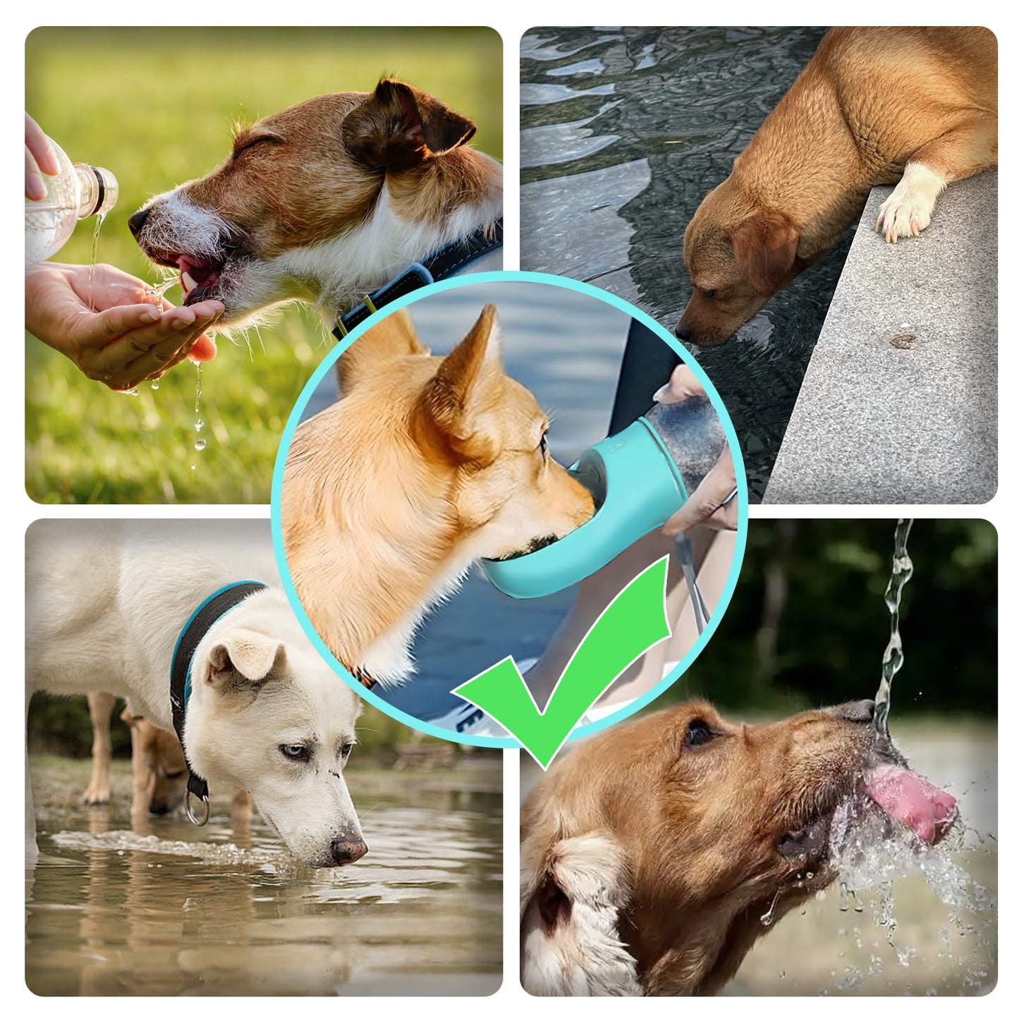 Kalimdor Dog Water Bottle,Leak Proof Portable Puppy Water Dispenser with Drinking Feeder, Dog Walking Accessories for Pets Outdoor Walking, Hiking, Travel, Food Grade Plastic