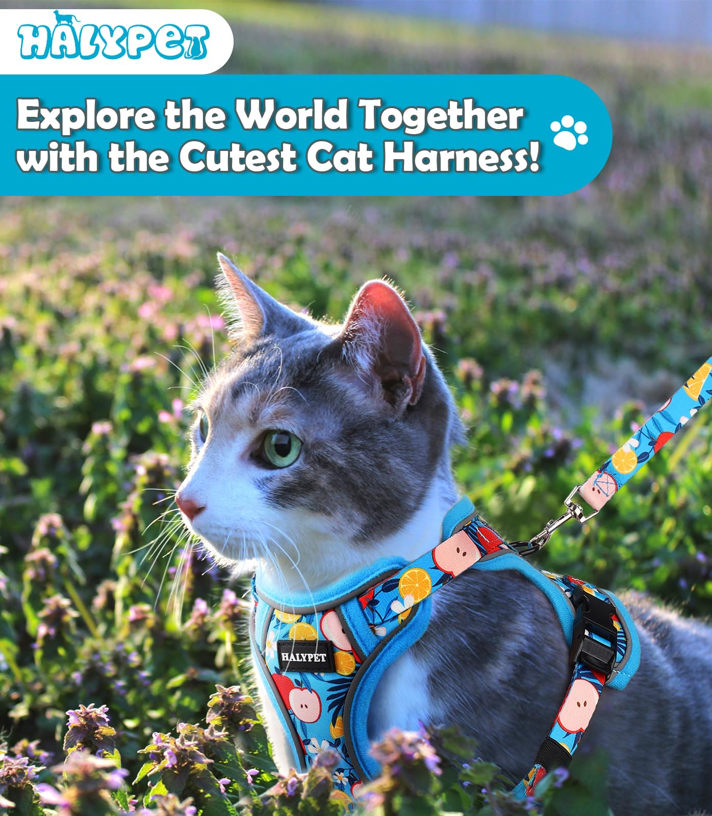 Halypet Cat Harness and Leash Set[MAX Safety 4th-Gen] Cute Escape Proof Vest Harness for Girl&Boy Cat Walking, Comfortable Adjustable Leash and Reflective Strips for Outdoor Kitten, S Azure Floral