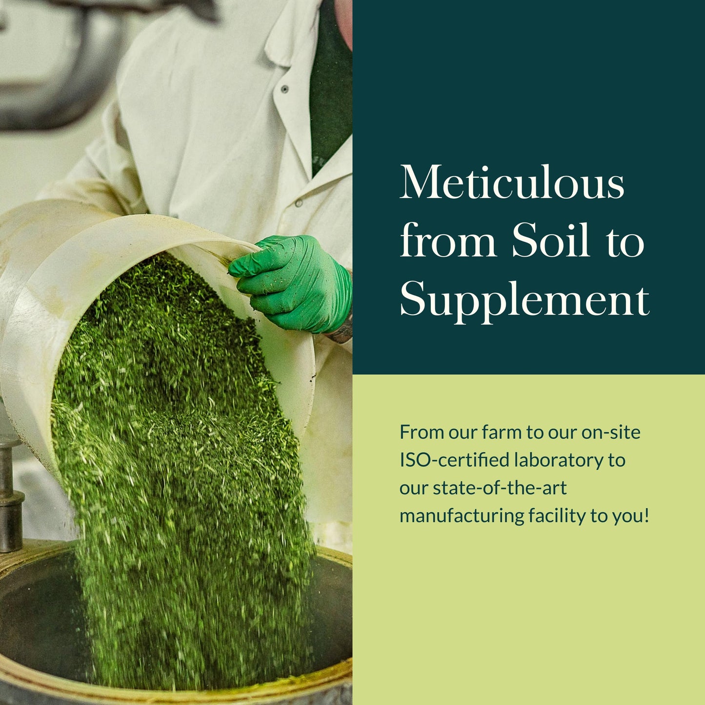 Gaia Herbs Adrenal Health Nightly Restore - Herbal Supplement with Ashwagandha, Magnolia Bark, Cordyceps, Lemon Balm & More - 120 Vegan Liquid Phyto-Capsules (60 Servings)
