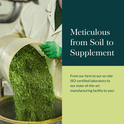 Gaia Herbs Adrenal Health Nightly Restore - Herbal Supplement with Ashwagandha, Magnolia Bark, Cordyceps, Lemon Balm & More - 120 Vegan Liquid Phyto-Capsules (60 Servings)