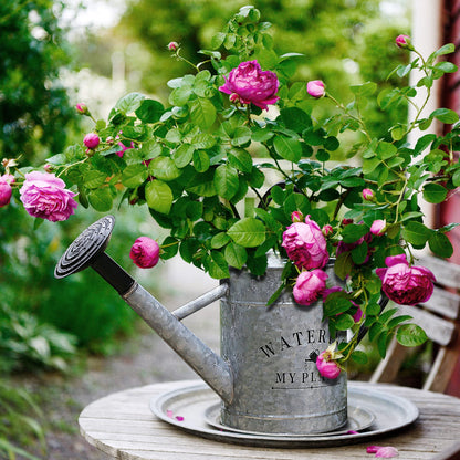 Garutom Galvanized Watering Can for Outdoor Indoor Plants, 1 Gallon Decorative Countryside Style Water Can with Removable Spout, Perfect Metal Watering Can for Indoor Plants and Garden Flower