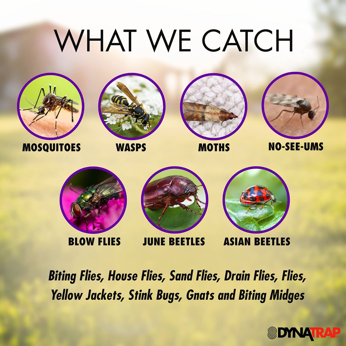 DynaTrap DT1050SR 1/2 Acre Mosquito & Flying Insect Trap – Kills Mosquitoes, Flies, Wasps, Gnats, & Other Flying Insects - Bug Zapper Alternative - Black