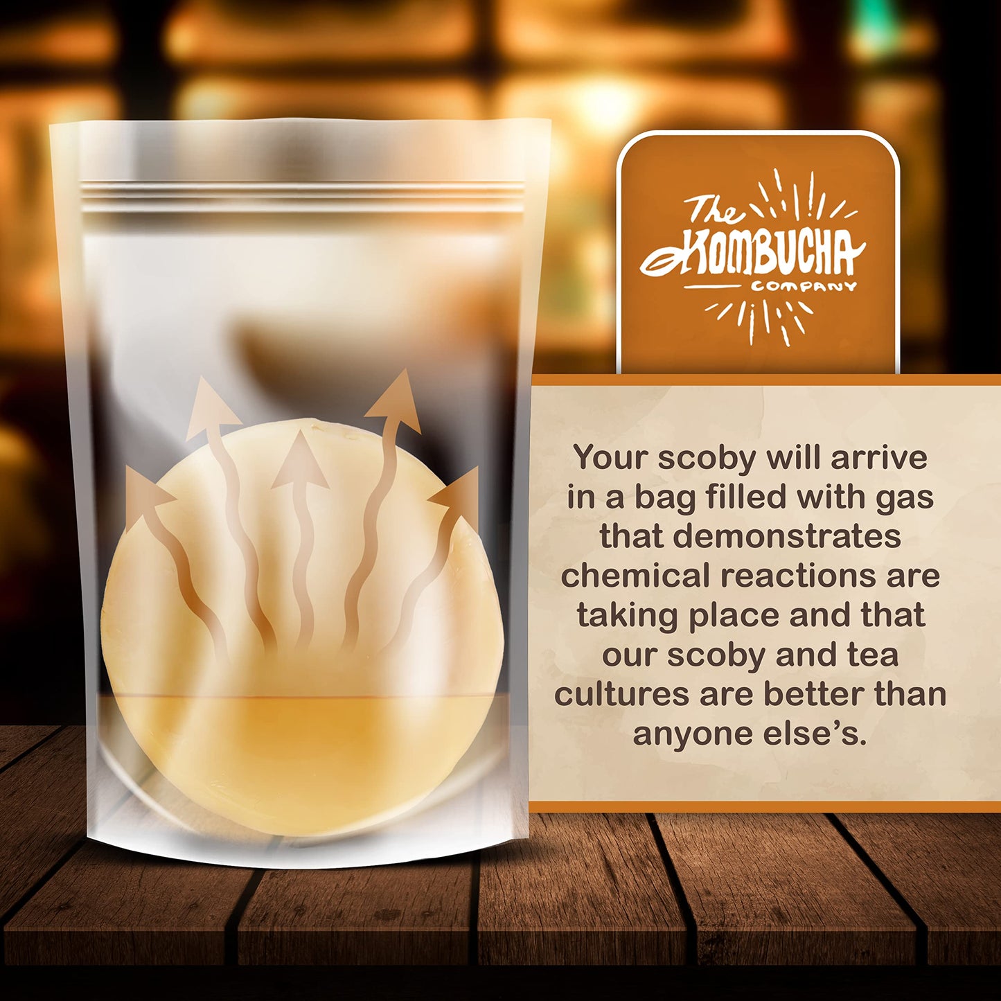 Kombucha SCOBY | Large size | 5-Inch SCOBY Mother for Easy Brewing of Drinks | Includes 4 OZ of Kombucha Starter Tea Liquid | By The Kombucha Company