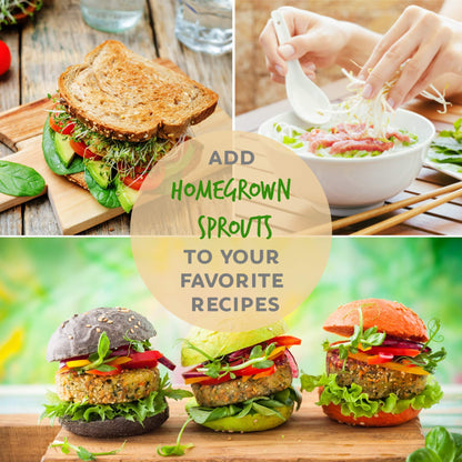 Handy Pantry Complete Sprouts Growing Kit | Sprouting Kit with 3 Stackable Sprouting Trays | Seed Sprouter, BPA-Free | Includes Organic Sprouting Seeds & Instructions