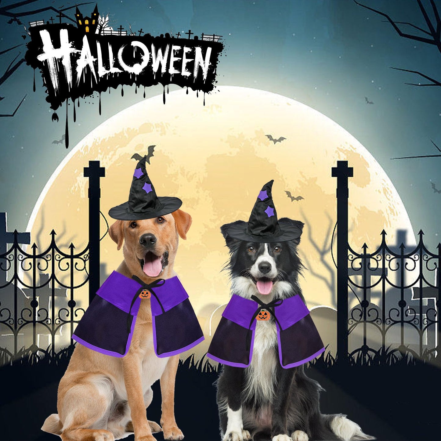GOYOSWA Dog Halloween Costumes, Dog Witch Costume Halloween Dog Witch Cloak Cape Wizard Hat Halloween Costumes for Small Medium Large Dogs Pets (Large)