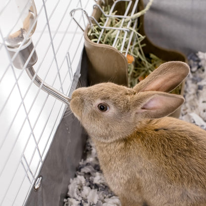 Kaytee Chew-Proof Water Bottle for Pet Ferrets and Rabbits, 26 oz