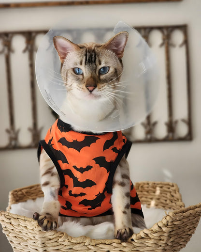 Fitwarm 100% Cotton Halloween Dog Clothes Scary Bat Dog Costumes Doggie Shirts Puppy Shirt Pet Vest Tank Top Cat Tee Orange X-Small