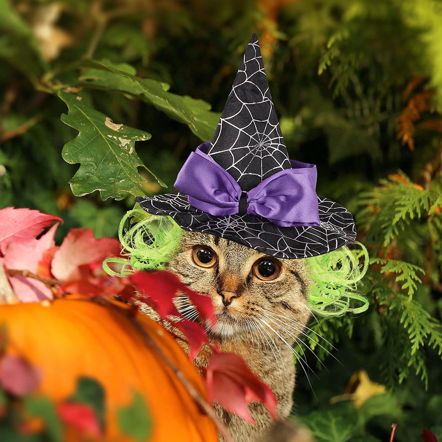 LESYPET Cat Halloween Costume Hat Dog Hat, Wizard Hat with Green Wig for Dog Cat Cosplay for Halloween, Christmas, Party