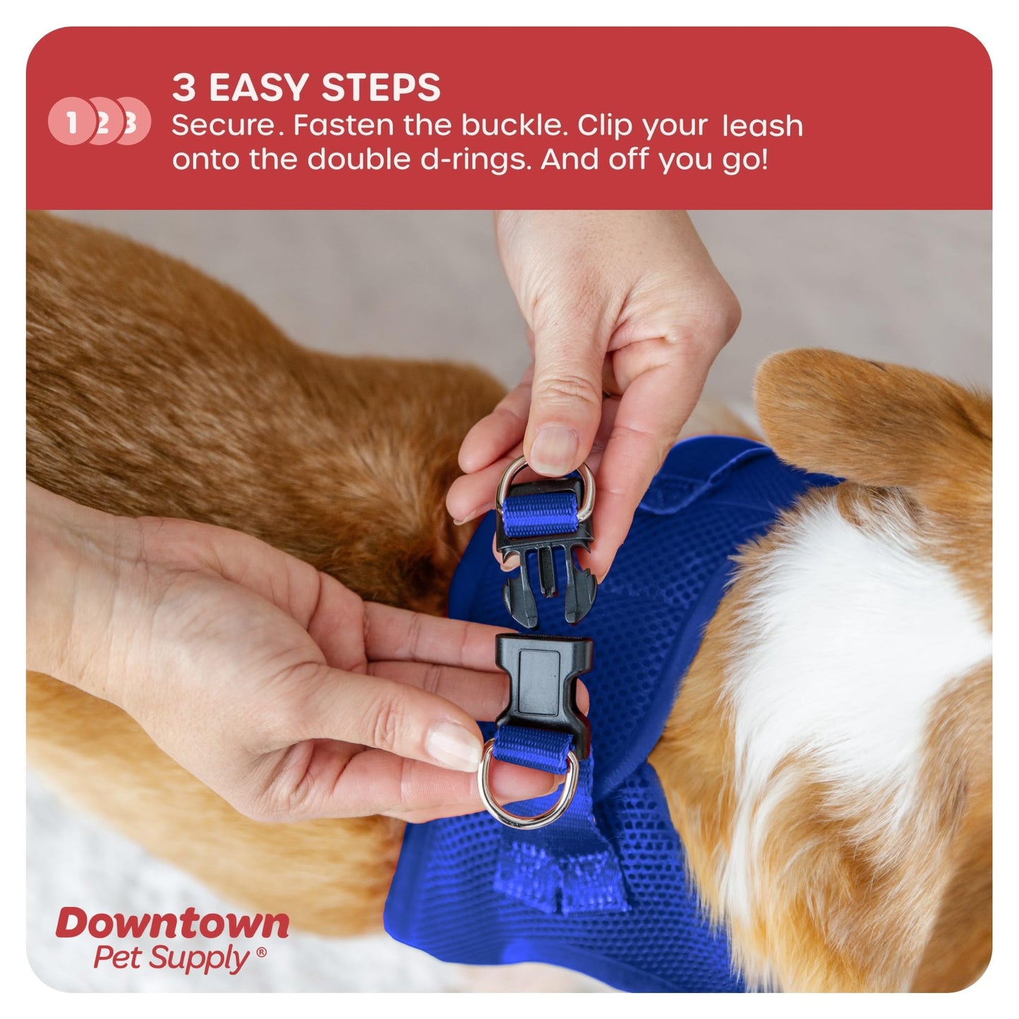 Downtown Pet Supply Step in Dog Harness for Small Dogs No Pull, Small, Blue - Adjustable Harness with Padded Mesh Fabric and Reflective Trim - Buckle Strap Harness for Dogs