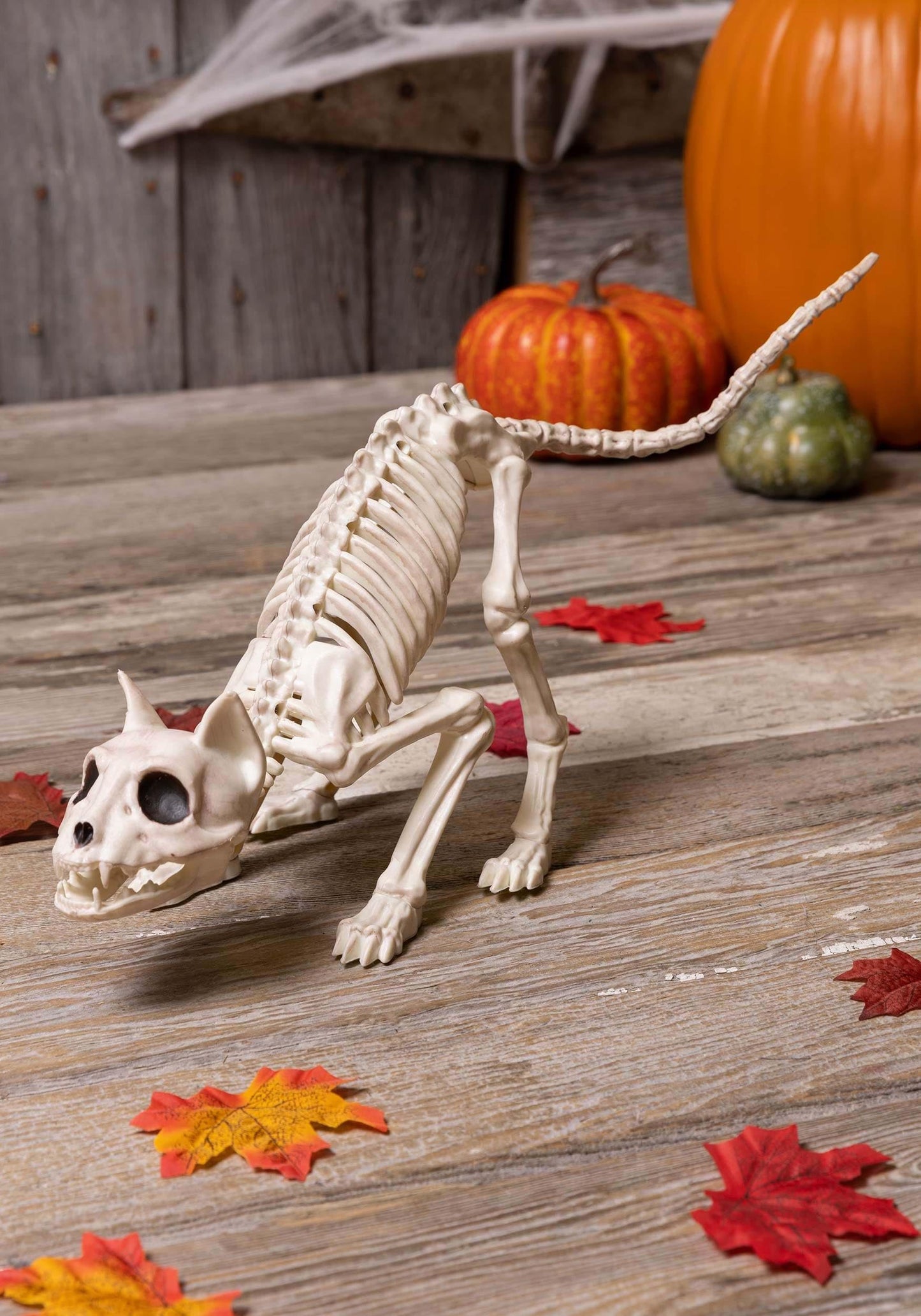 Crazy Bonez Skeleton Cat - Lil' Kitty Bonez