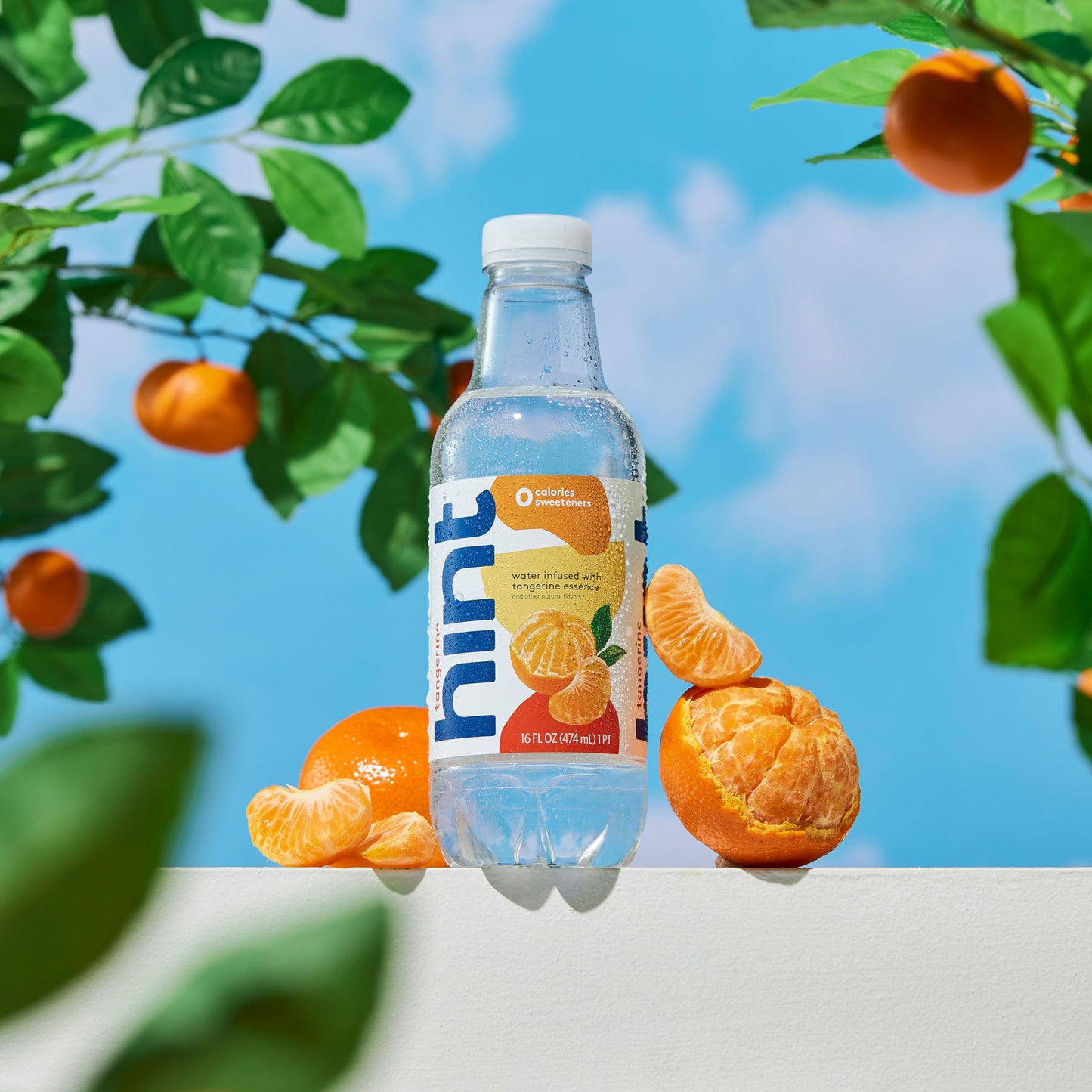 Hint Fruit-Infused Bottled Water, Tangerine - Sugar Free Flavored Water with Zero Calories, Naturally Flavored, and No Artificial Sweeteners - 16 Fl Oz (Pack of 12)