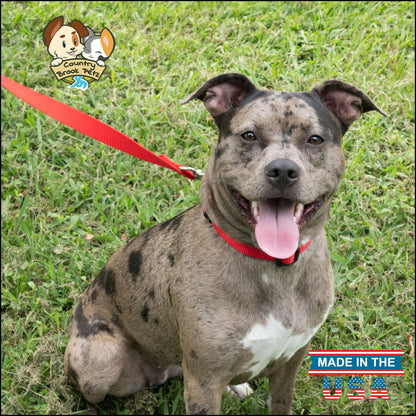 Country Brook Petz - American-Made Dog Collar for Large, Medium, and Small Dogs and Puppies - Deluxe Heavy Duty Nylon in 33 Dazzling Colors (Large, 1 Inch Wide, Bright Red)