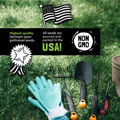 Culinary Herb Seeds Variety Pack: 10 Spice Herbs, Hydroponic Garden Indoors, Heirloom Planting Basil, Parsley, Sage, Thyme, Rosemary, Cilantro, Chives Dill Oregano, Summer Savory by Sustainable Sprout