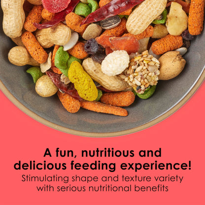 Kaytee Fiesta Parrot Food, Nutritious and Fun Blend, Supports Skin, Feather, Digestion, Brain and Heart Health, 4.5 pounds