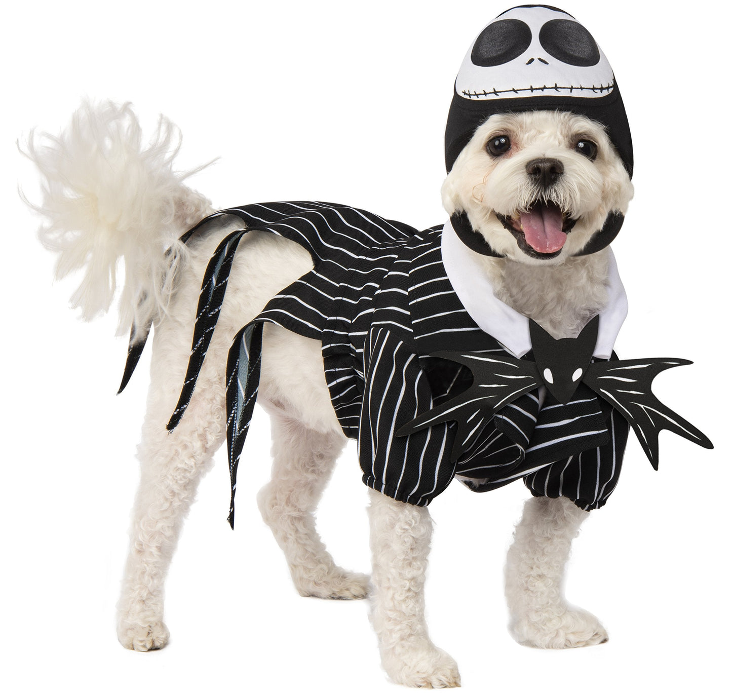 Disney Nightmare Before Christmas: Jack Skellington Pet Costume for for Dogs or Cats by Rubies, Small