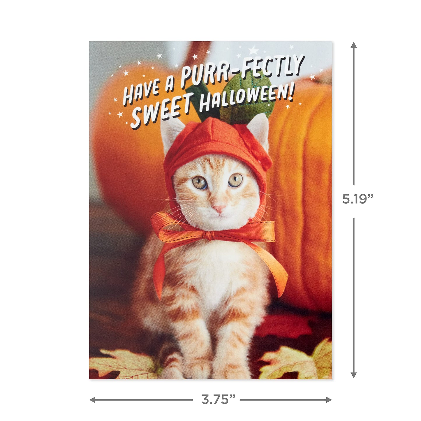 Hallmark Halloween Cards Assortment, Pet Puns (48 Cards with Envelopes)
