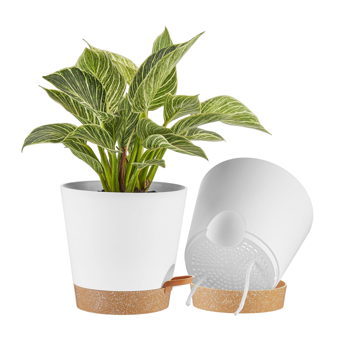 FaithLand 2-Pack 8 Inch Planter Pots for Indoor Outdoor Plants, Self Watering Flower Pots with Deep Reservoir, White with Terracotta …