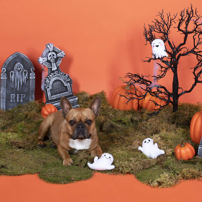 Fringe Studio, "Hey Boo, Small Plush Dog Toy 3PCS Set, PetShop Collection (289452)