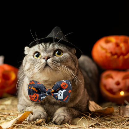 2 Pack Halloween Cat Collar with Bell, Holiday Jack-O-Lantern and Candycorn Collar for Kitty Kitten Male Female Cats (Jack-O-Lantern/Candycorn)