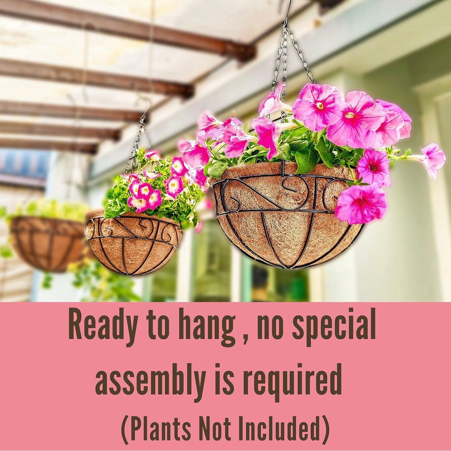 LaLaGreen Hanging Planter for Outdoor Plants (12 Inch, 2 Pack) Hanging Baskets with Coco Liner, Black Metal Wire Flower Basket Pots with Hook Hanger Balcony Porch Farmhouse Country Style Garden Decor