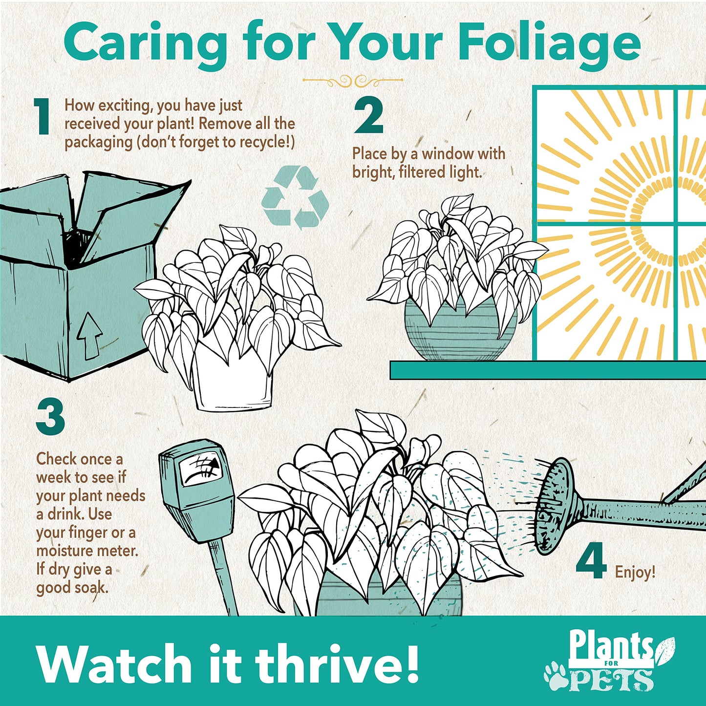 Easy to Grow Houseplants (Pack of 6), Live House Plants in Containers, Growers Choice Plant Set in Planters with Potting Soil Mix, Home Décor Planting Kit or Outdoor Garden Gifts by Plants for Pets