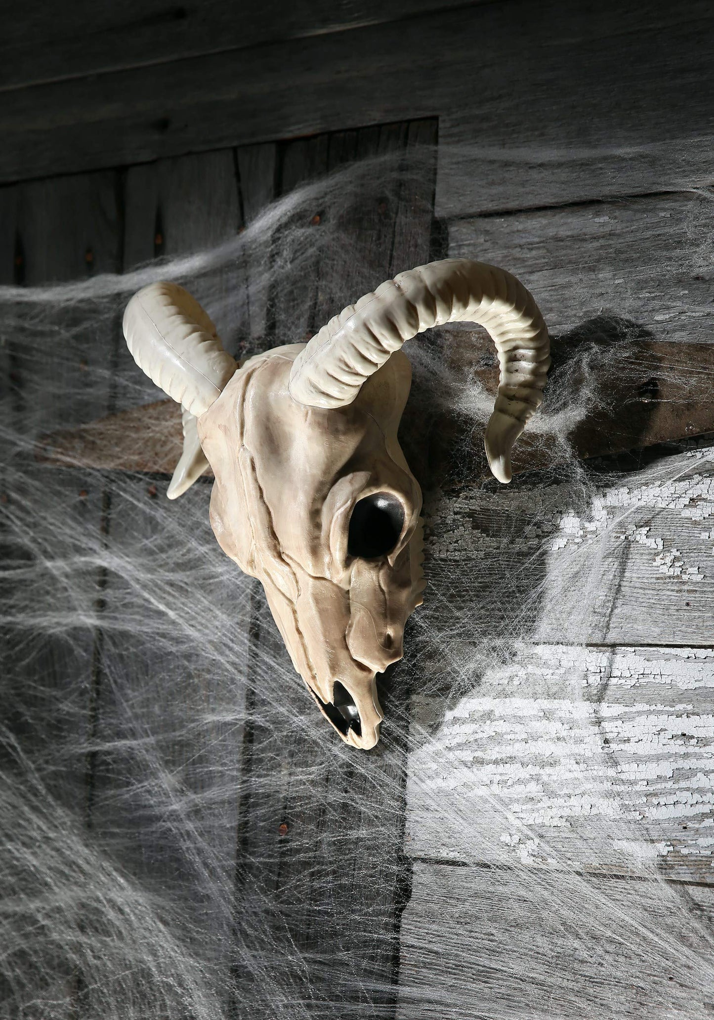 Crazy Bonez - Ram Skull