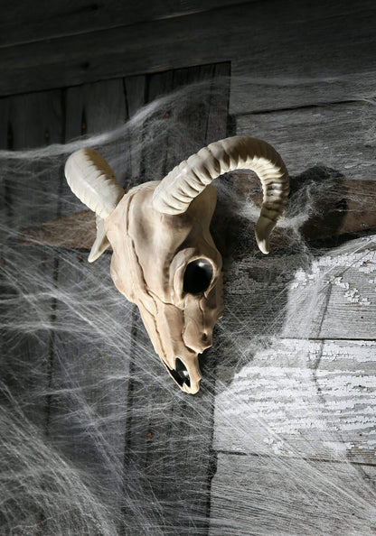 Crazy Bonez - Ram Skull