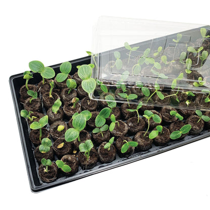 Ferry Morse Jiffy Seed Starting Greenhouse Tray Kit with 72 36mm Peat Pellets and Bonus SUPERthrive Sample + Plant Markers, 2 Pack, 144 Pellets Total