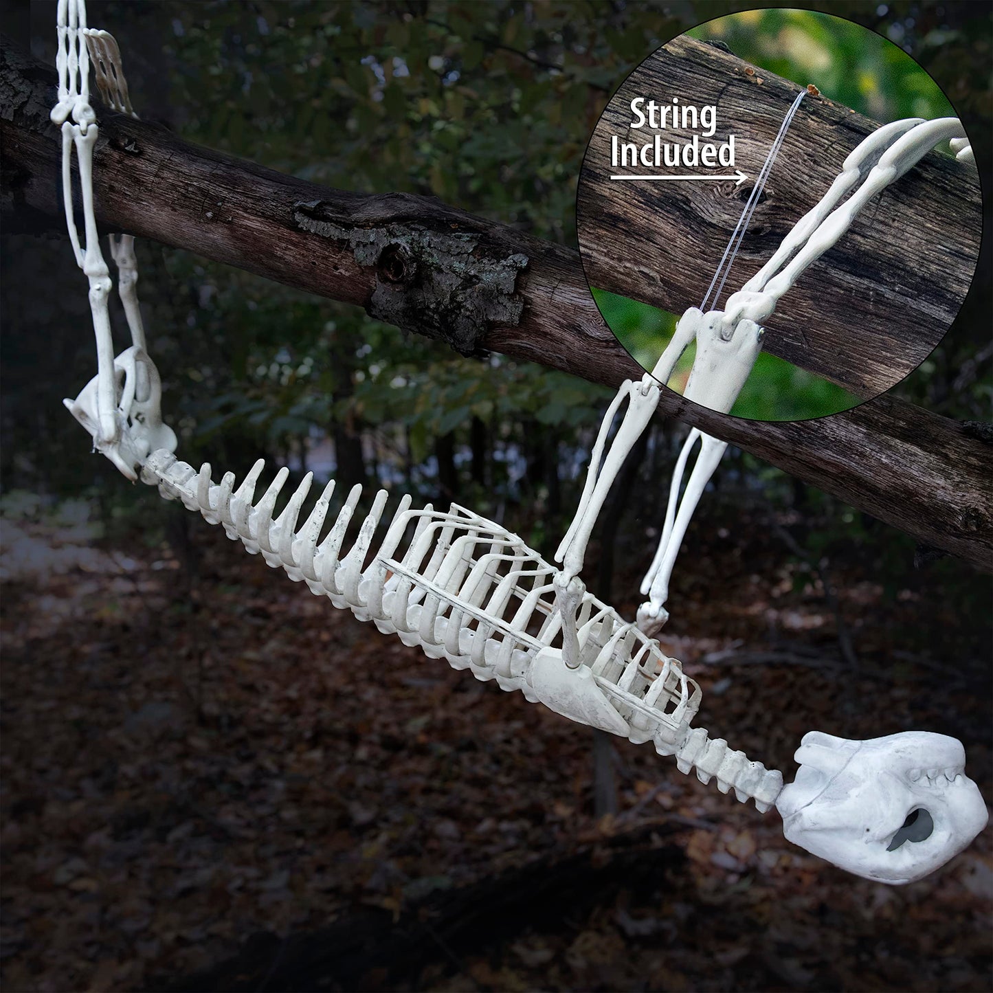 Halloween Giant Sloth Animal Skeleton (2 Ft Long) with Easy-to-Hang Limb Straps - Weather Resistant Yard and Tree Decoration w Movable Joints - Perfect for Party Decor and Indoor/Outdoor Use