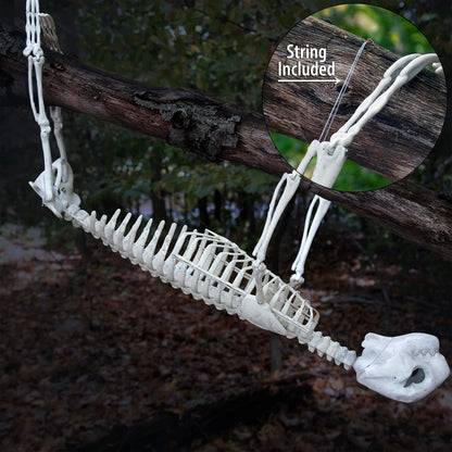 Halloween Giant Sloth Animal Skeleton (2 Ft Long) with Easy-to-Hang Limb Straps - Weather Resistant Yard and Tree Decoration w Movable Joints - Perfect for Party Decor and Indoor/Outdoor Use