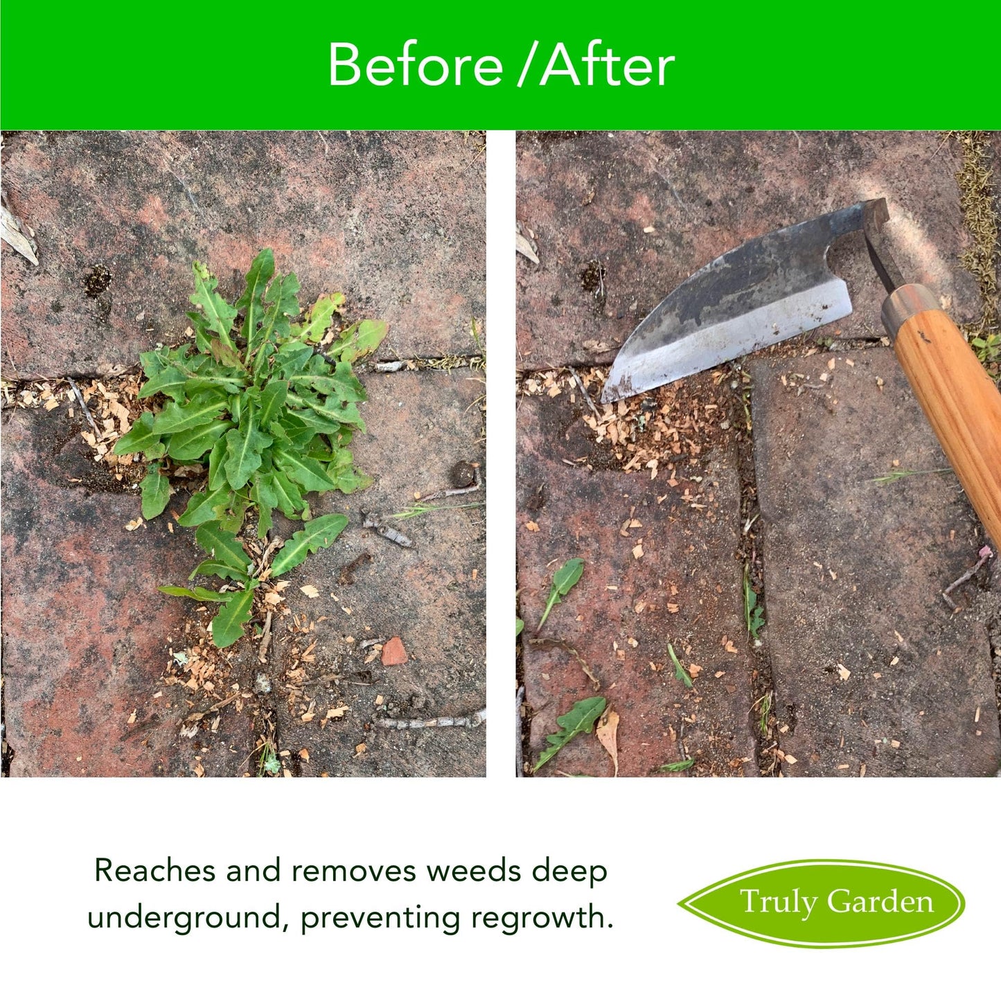 Effortless Weeding: Sharp Sickle Cuts Roots, Saves Time - with Thick Leather Sheath & Sharpening Stone
