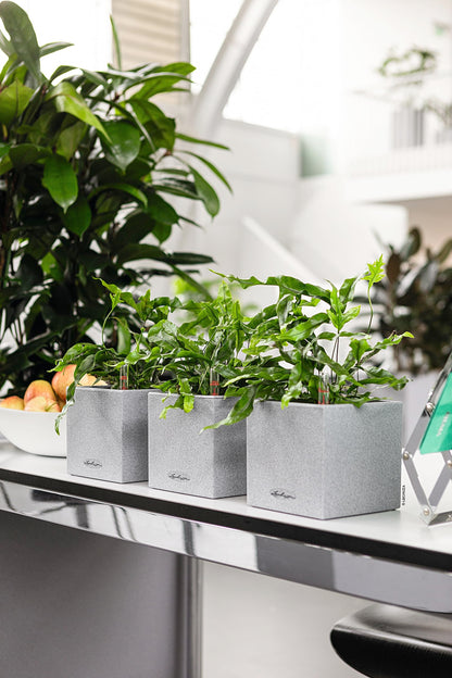 Lechuza Canto Stone 14 Self-Watering Table Planter with Water Level Indicator, Stone Grey