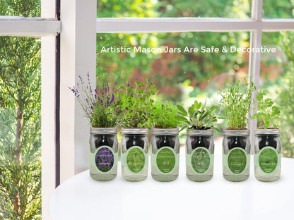 Environet Hydroponic Herb Growing Kit, Self-Watering Mason Jar Herb Garden Starter Kit Indoor, Grow Your Own Herbs from Organic Seeds (Oregano)