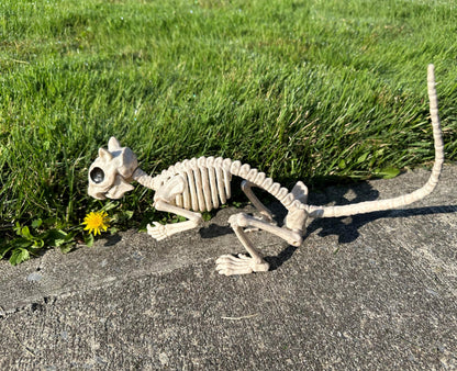 Crazy Bonez Skeleton Squirrel