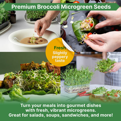 Organo Republic Broccoli Sprouting & Microgreens Seeds - Non-GMO, Heirloom Sprout Seeds Kit, 1lb Resealable Bag for & Growing Microgreens in Soil, Coconut Coir, Aerogarden & Hydroponic