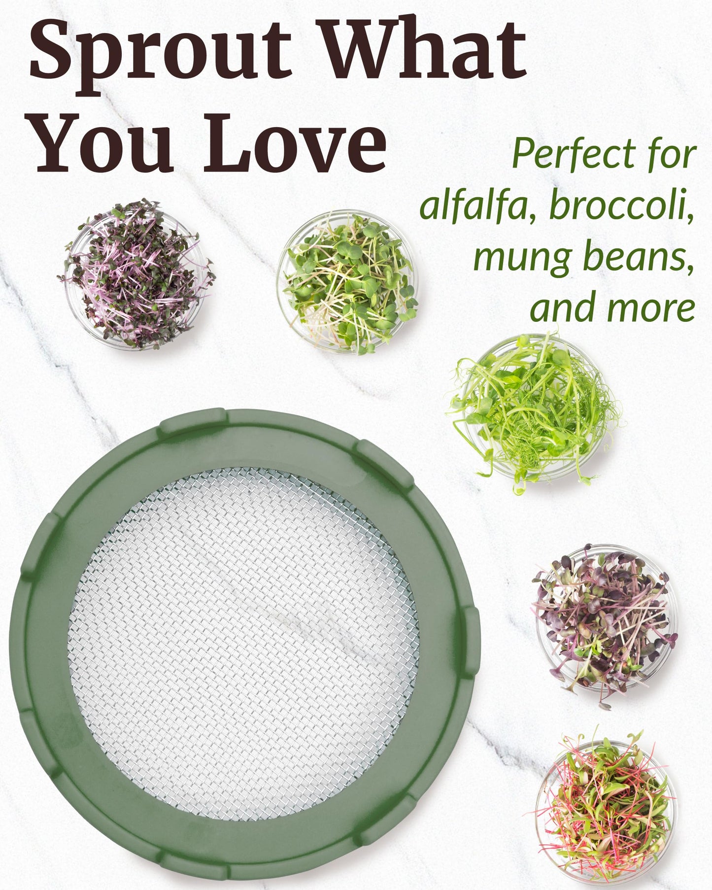 Elementi Sprouts Growing Kit for Wide Mouth Mason Jars, Set of 2 Sprouting Lids for Organic Alfalfa & Mung Bean Sprouts Grow Kit, 316 Stainless Steel Mesh Screen Strainer Lid (Sage Green)