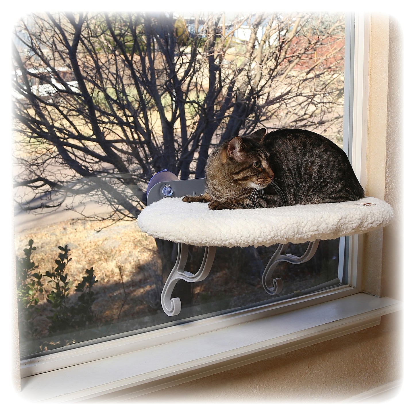 K&H Pet Products Universal Mount Cat Window Perch Bed for Large Cats, Orthopedic Window Hammock Holds 60 lbs, Sturdy Suction Cups, Washable Cover, Indoor Windowsill Furniture Bed - 14 X 24in Fleece