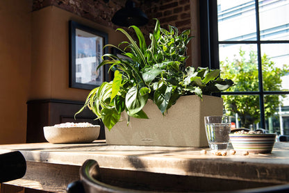 Lechuza 15651 Balconera Stone 50 Self-Watering Garden Planter for Indoor and Outdoor Use, 20" x 7" x 7", Sandy Beige